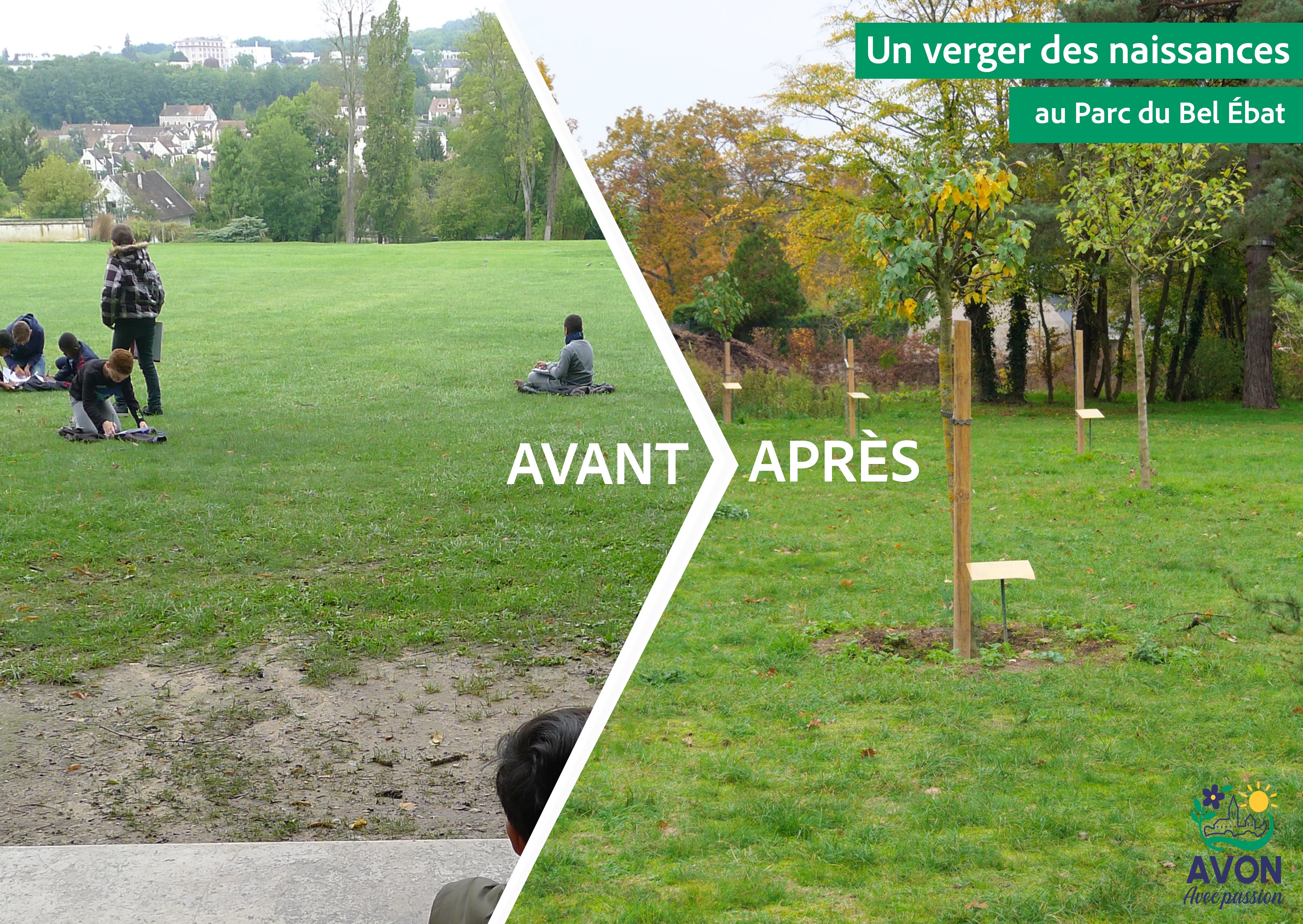 Verger des naissances